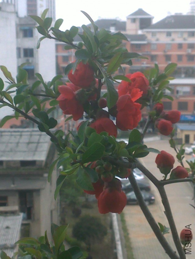 20120329403.jpg