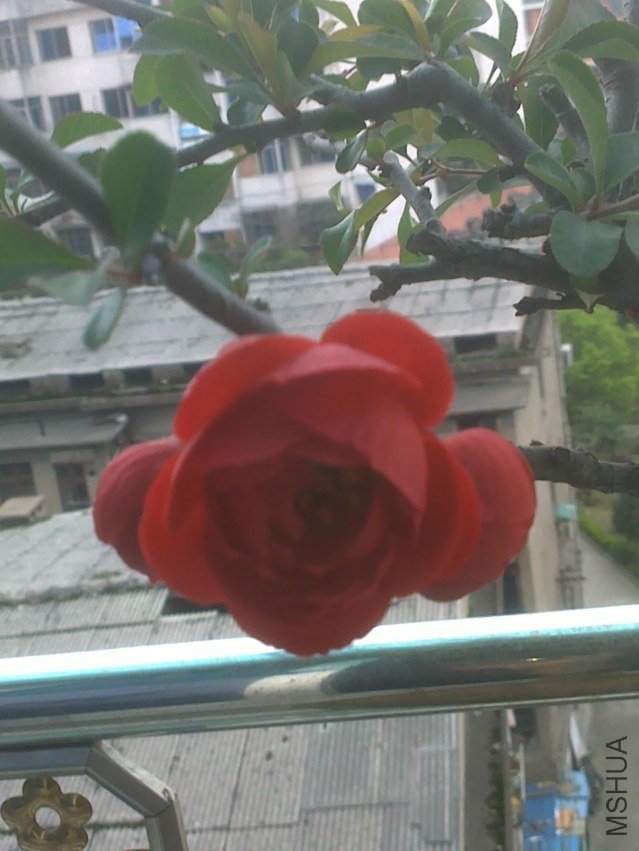 20120329405.jpg