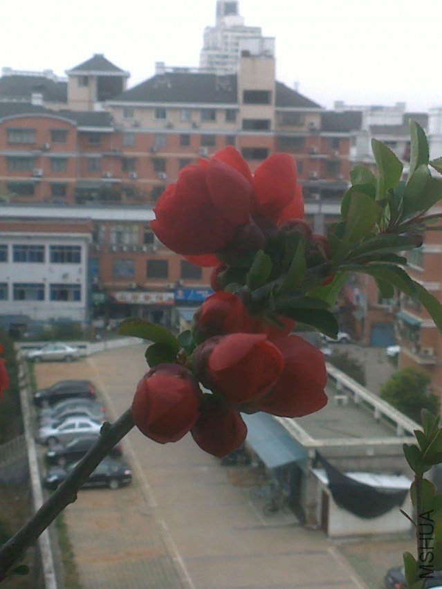 20120329406.jpg