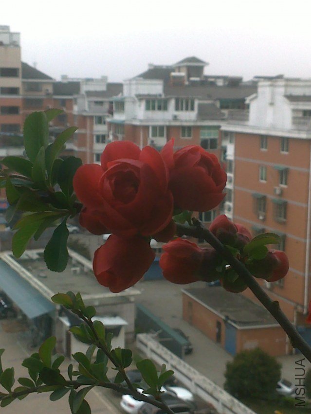 20120329407.jpg