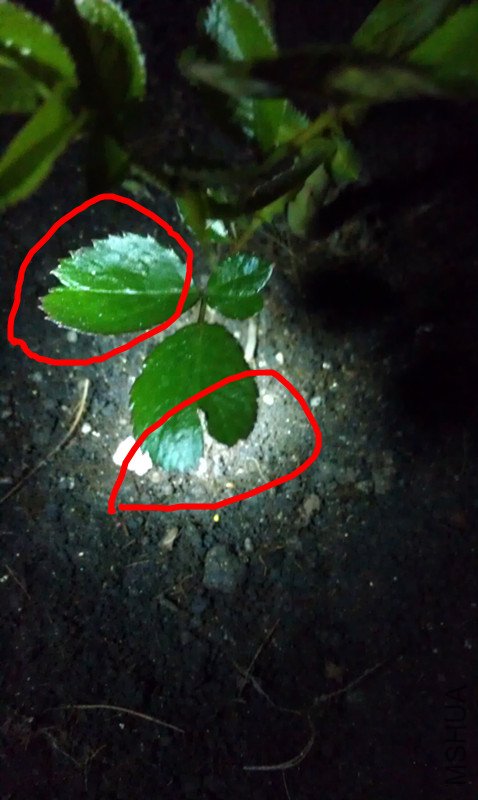 IMAG0728_����.jpg
