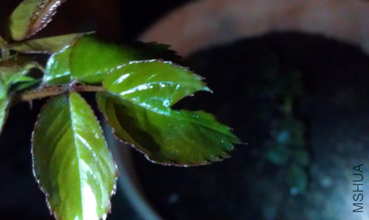 IMAG0729_����.jpg