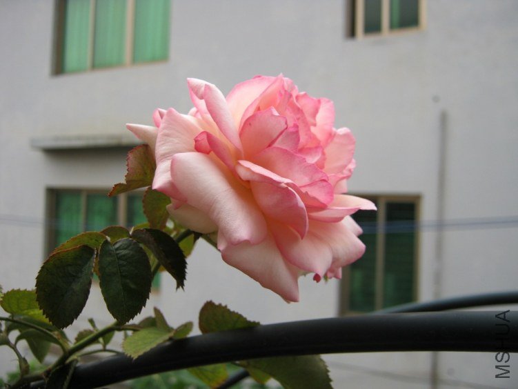 ��ɳ04.jpg