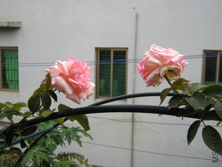 ��ɳ05.jpg