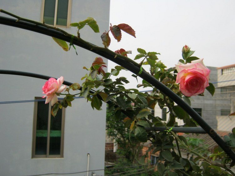 ��ɳ09.jpg
