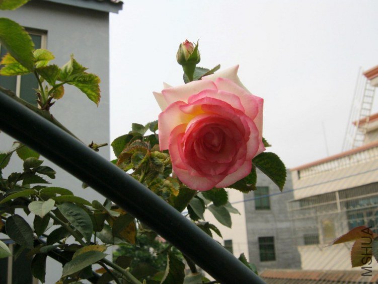 ��ɳ08.jpg