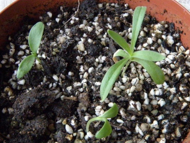 PA223027.JPG