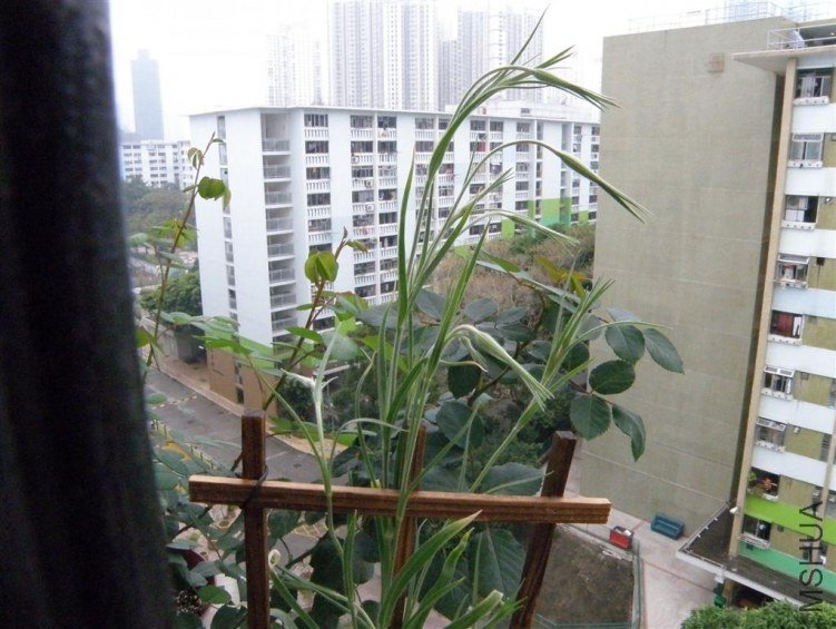 P2220525.JPG