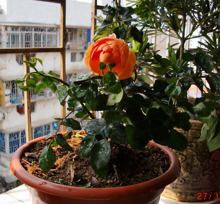 nEO_IMG_CIMG5359.jpg
