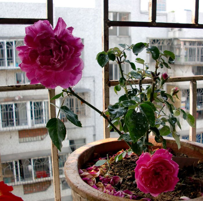 nEO_IMG_CIMG5336.jpg