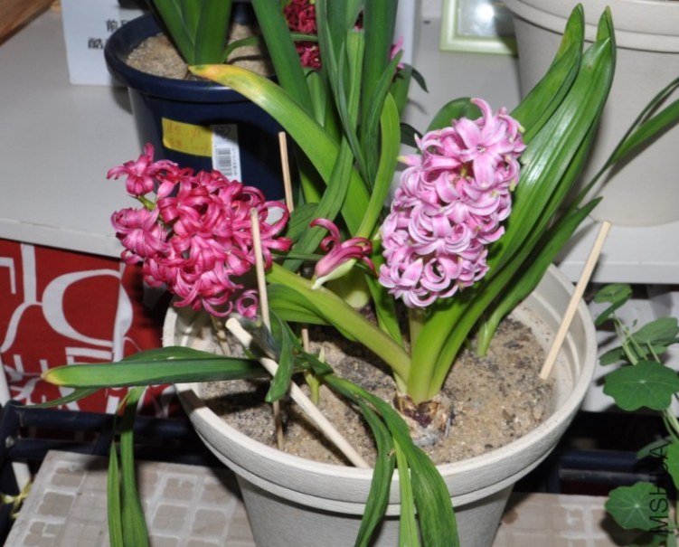 ������20120331082241.jpg