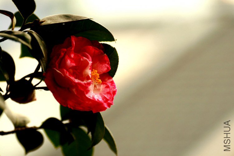 Ů�ʶ���