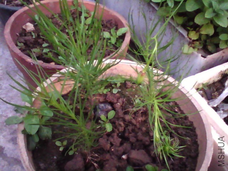 image20120326_080056.jpg