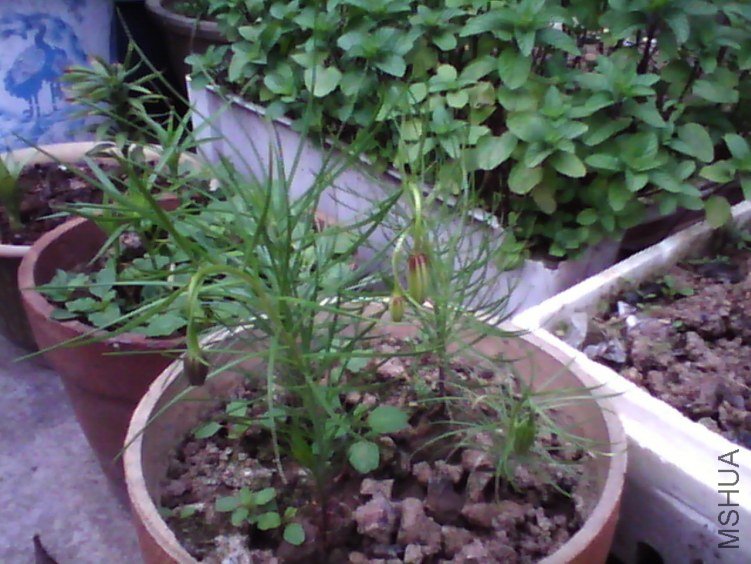 image20120331_135030.jpg
