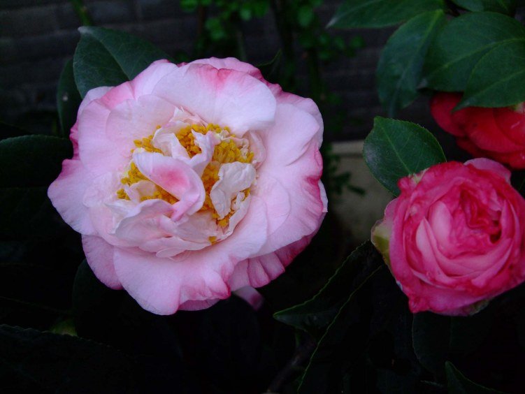 ���µ���� 2012-3-31f 071.jpg