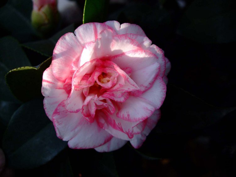 ���ѻ� 2012-3-31f 035.jpg