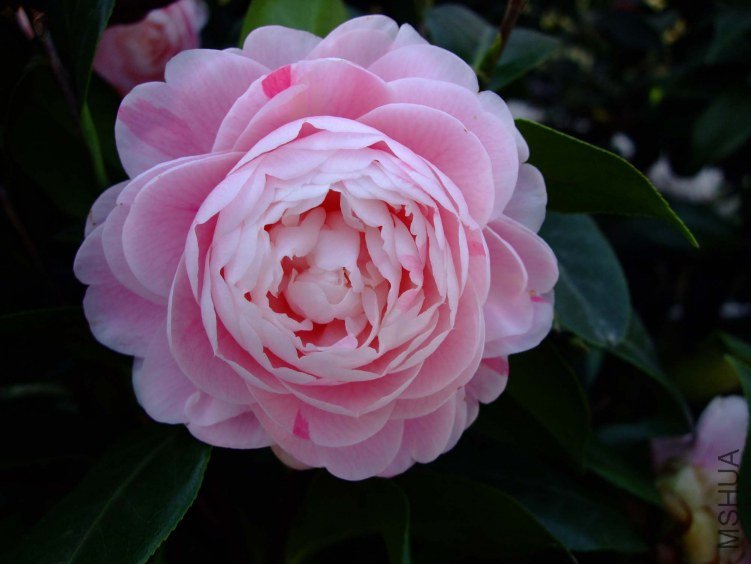���� 2012-3-31f 040.jpg