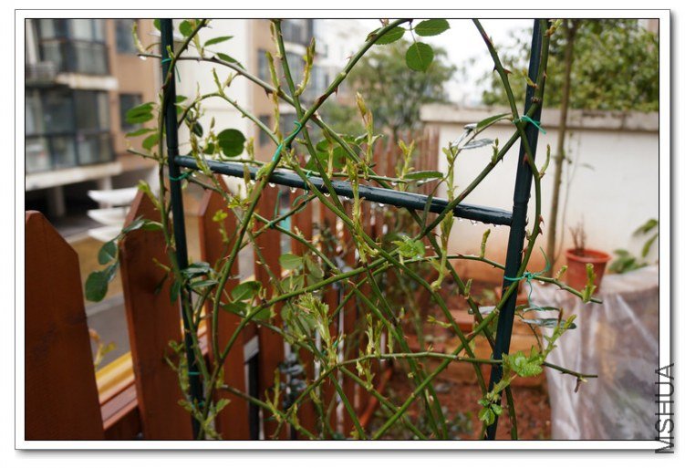DSC00088_��Ӱ_1.jpg