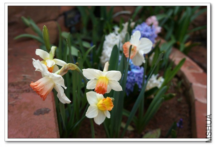 DSC00355_��Ӱ_1.jpg