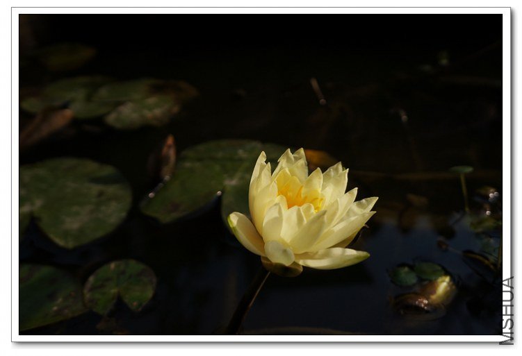 DSC00363_��Ӱ_1.jpg