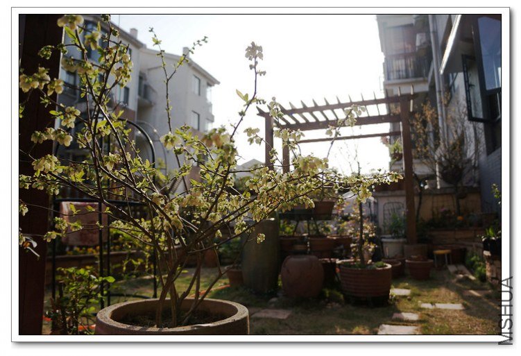 DSC00361_��Ӱ_1.jpg