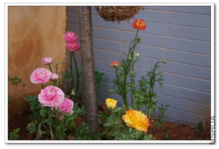DSC00356_��Ӱ_1.jpg