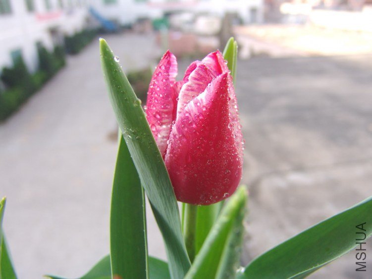 DSC02821.jpg
