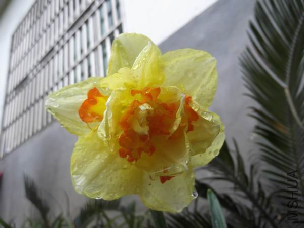 DSCF0083.jpg