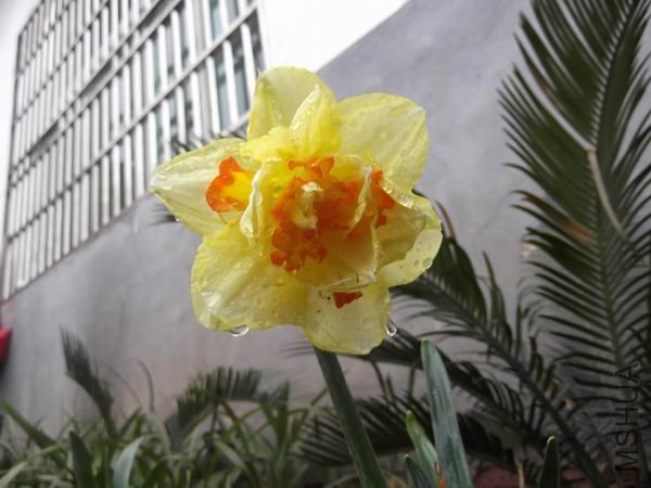 DSCF0084.jpg