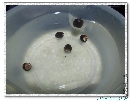 ���ľ���������Ƥ�Ǹ������