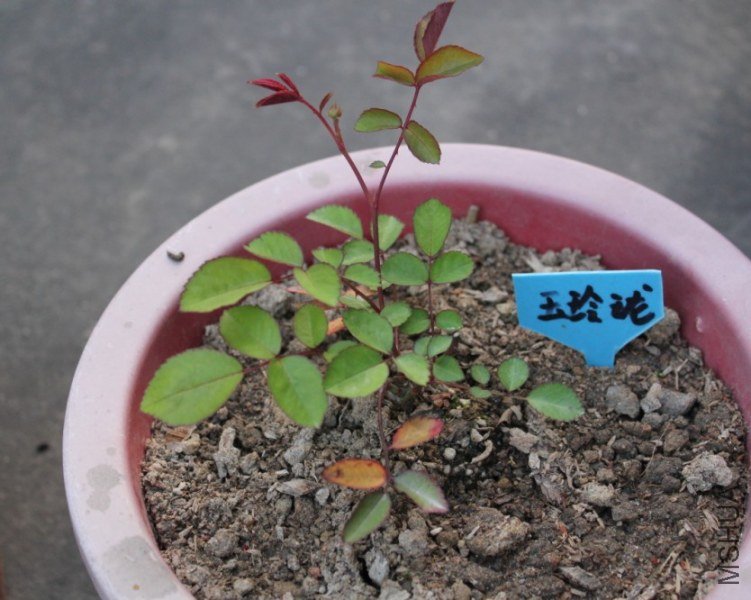 2012-04-01_203846.jpg