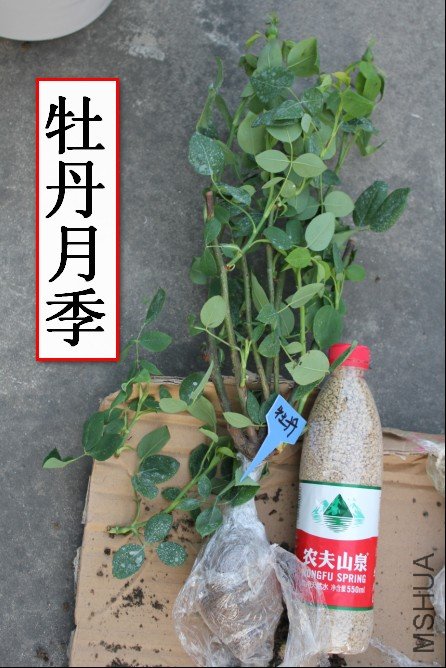 2012-04-01_202549.jpg