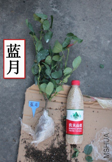 2012-04-01_203827.jpg