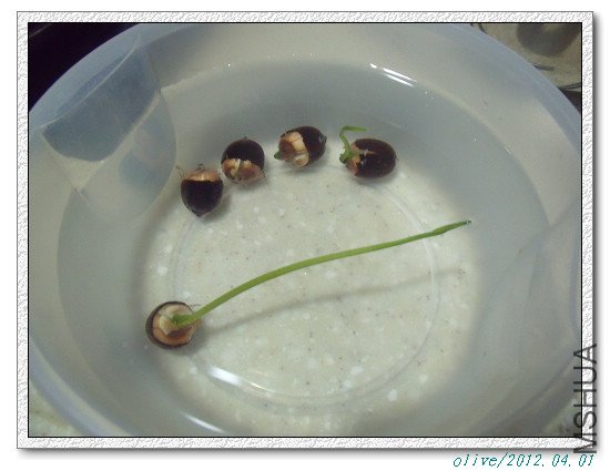 �賤�ĺ���ѽ����������ô��ã���