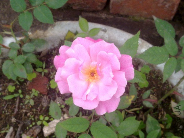 20120402320.jpg