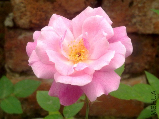 20120402321.jpg