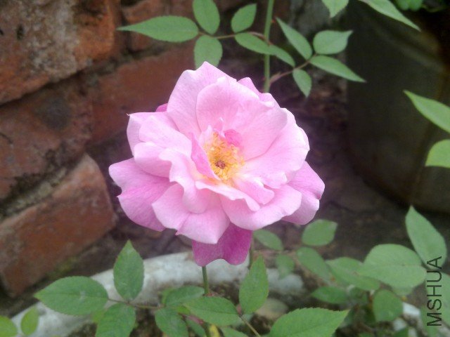 20120402325.jpg