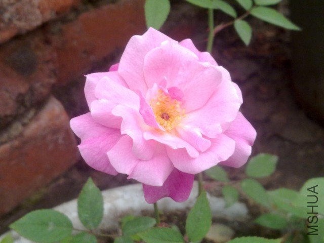 20120402327.jpg