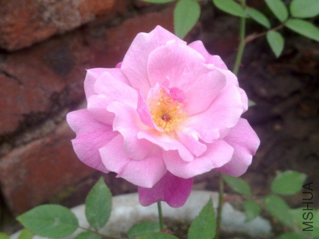 20120402329.jpg