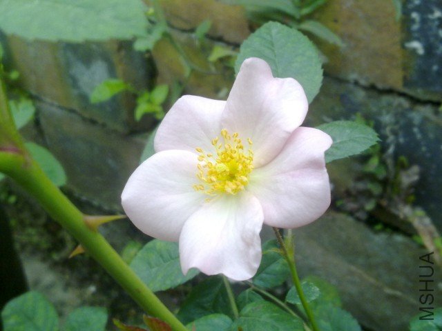 20120402330.jpg
