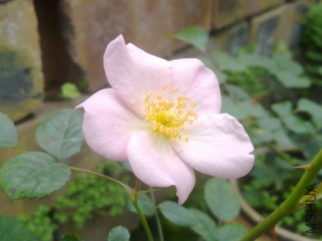 20120402336.jpg