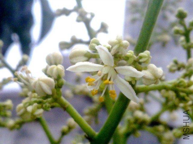 20120402348.jpg