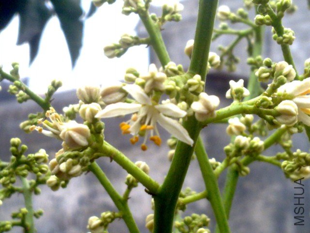 20120402351.jpg