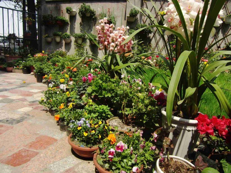 �����Ƕȿ�