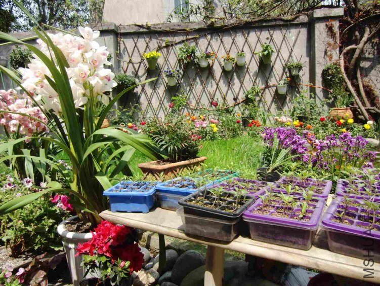 ����С��