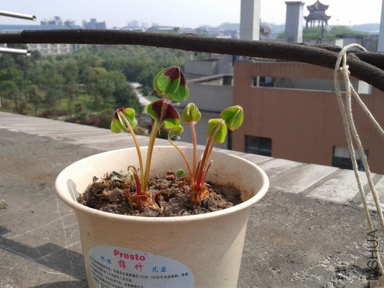 2012-04-02 10.49.34.jpg