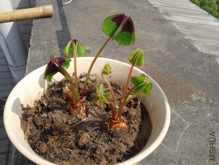 2012-04-02 10.49.45.jpg