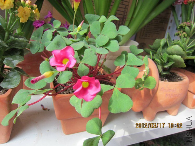 ��Ƭ 063.jpg