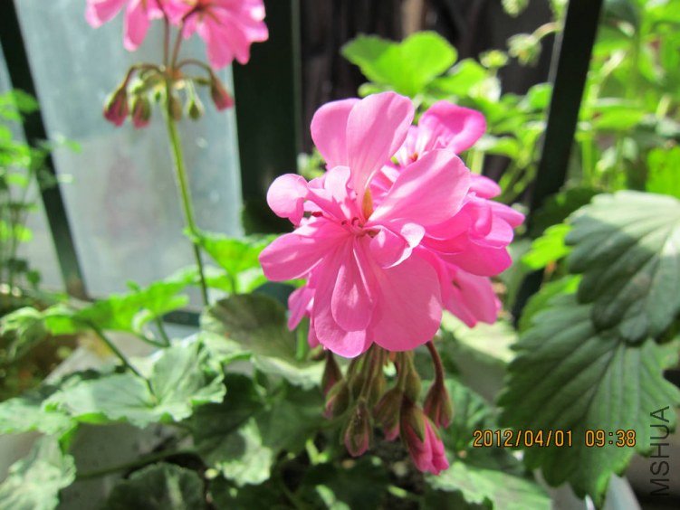 ��Ƭ 071.jpg