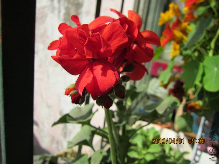 ��Ƭ 073.jpg